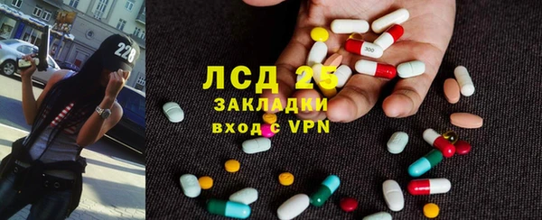 скорость Каменка
