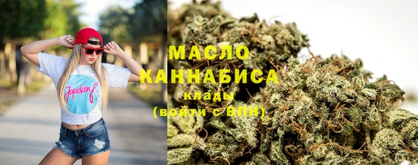 скорость Каменка