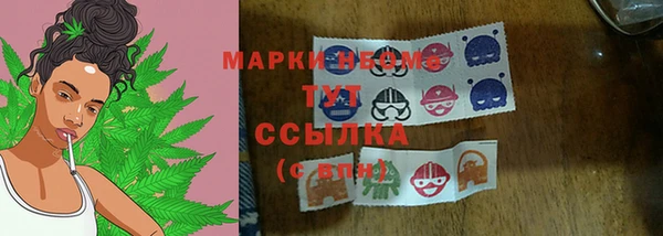 скорость Каменка