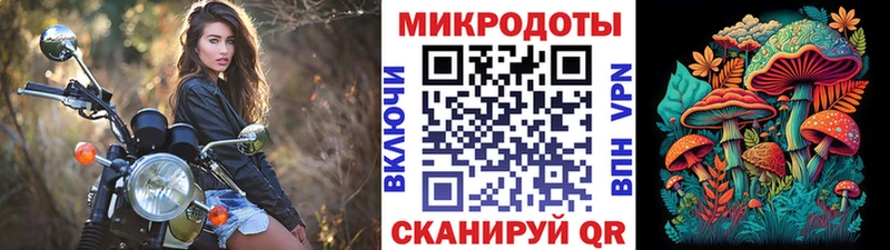 Купить  Новотроицк  Псилоцибиновые грибы MAGIC MUSHROOMS 